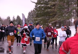 LAP03228