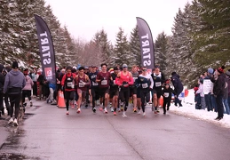 LAP03160