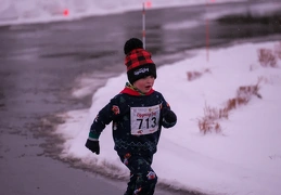 LAP03124