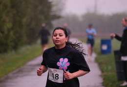 LAP05433